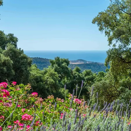 Luxury With Pool And Breathtaking Views Villa